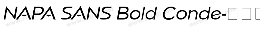NAPA SANS Bold Conde字体转换